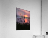 Dandelion Sunset Acrylic Print
