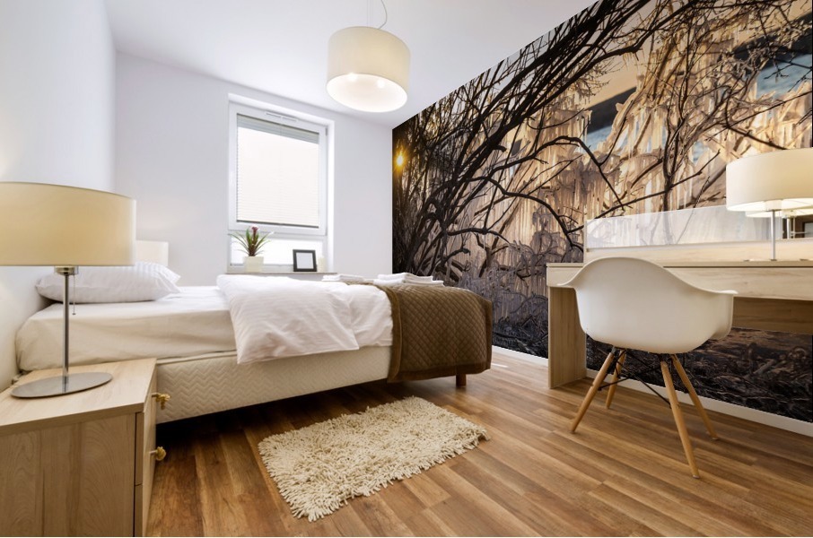 Fire and Ice Mural print