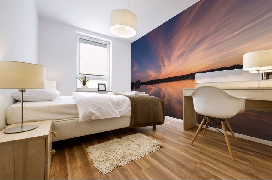 Rorschach Bay Mural print