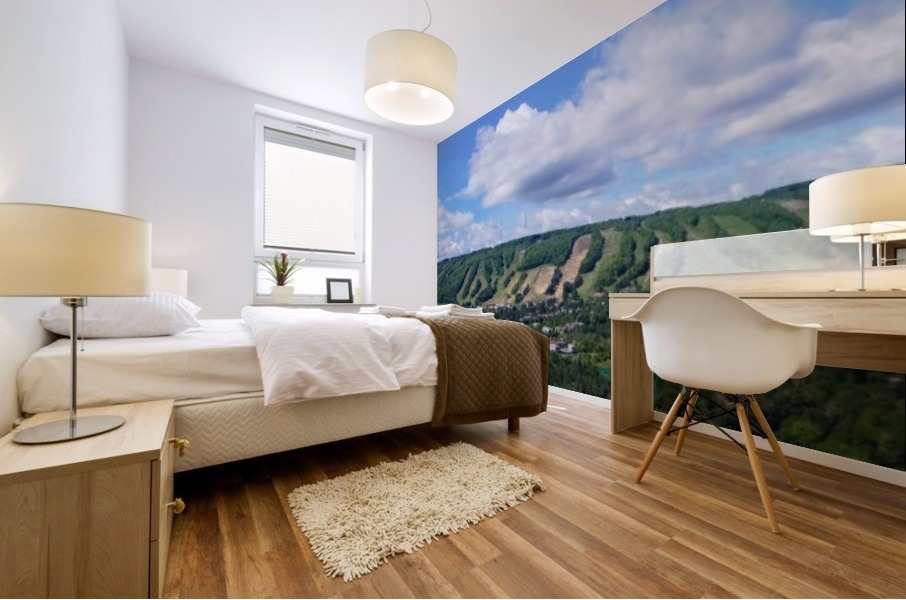 Blue Mural print