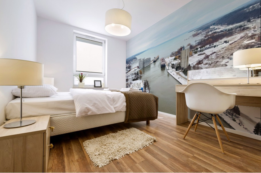 Winter Docking Mural print