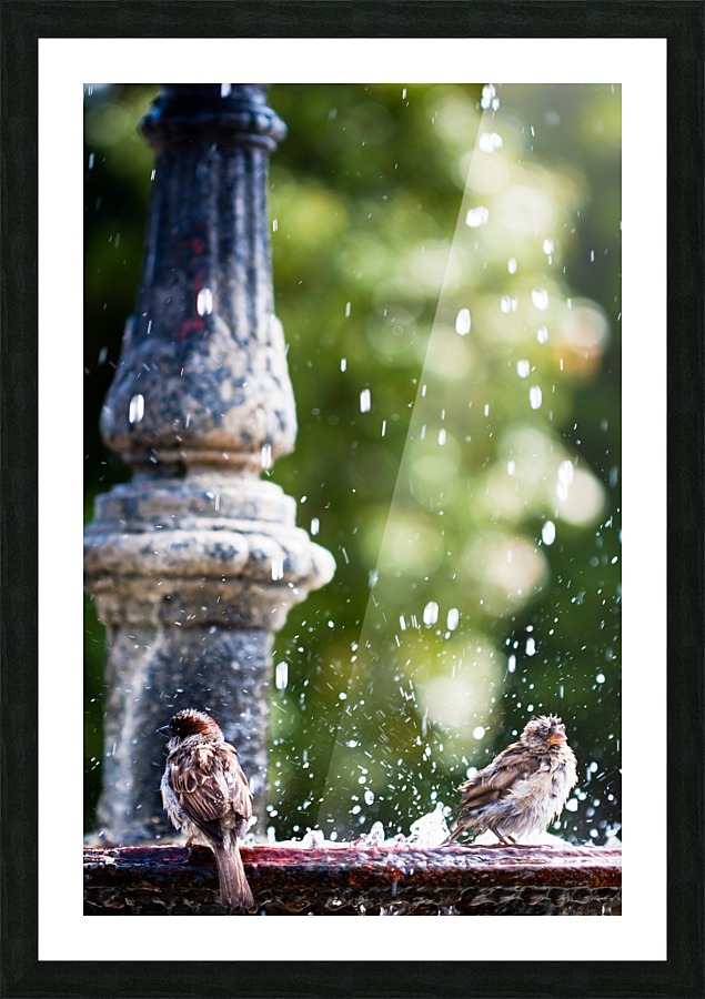 Ruffled Picture Frame print