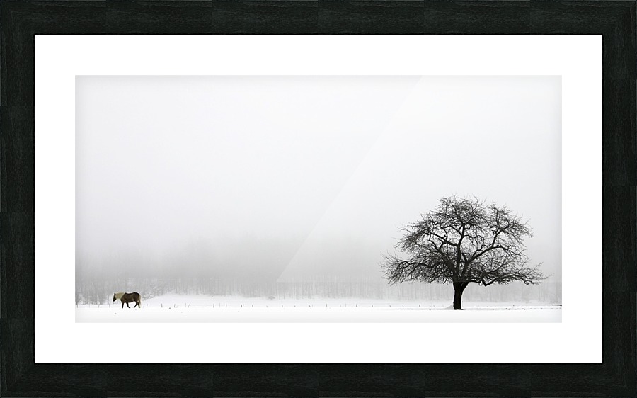 Horse and Tree  Picture Frame print