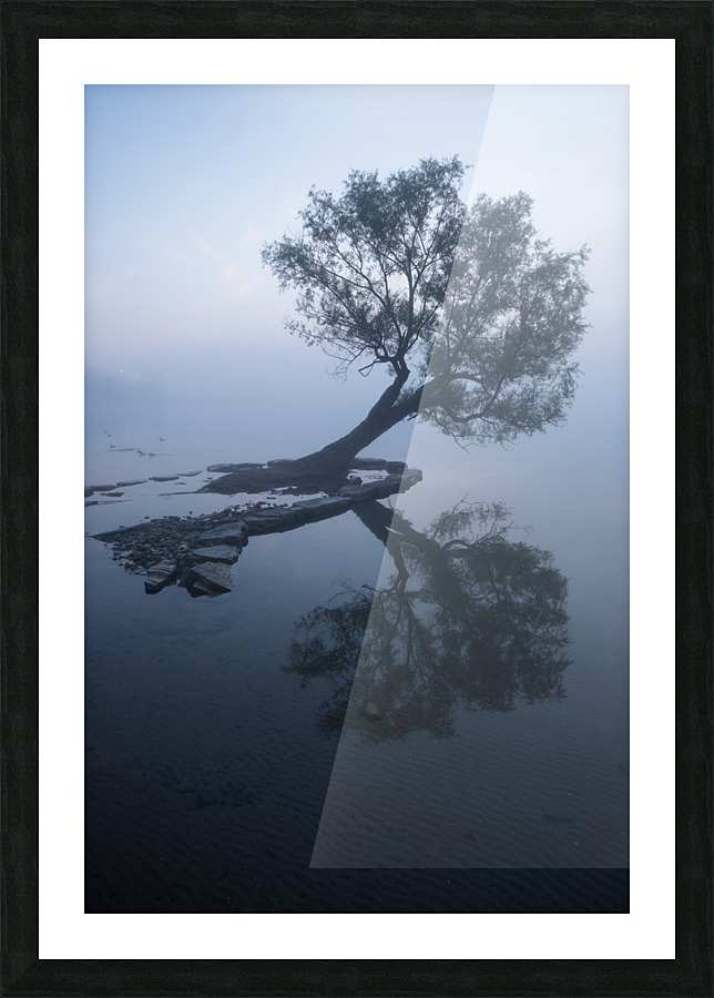 Untitled Picture Frame print