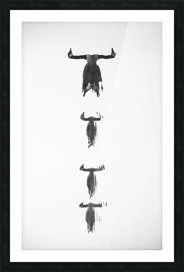 Untitled Picture Frame print