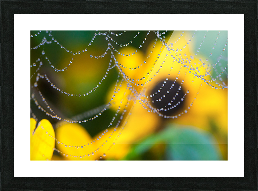 Endlessness Picture Frame print