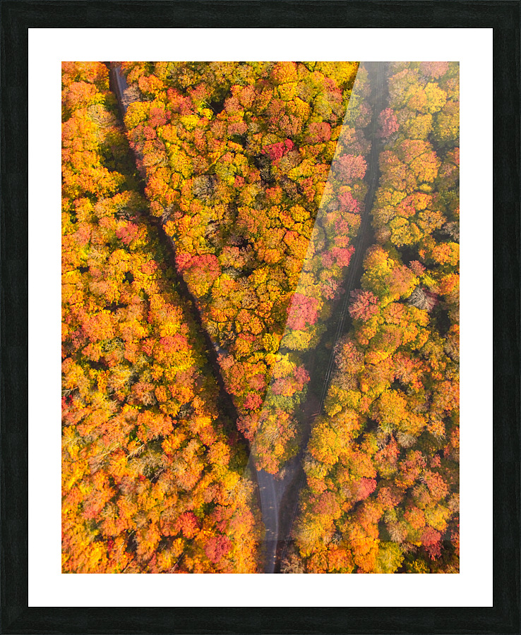 The Fork Picture Frame print