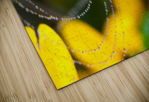 Endlessness Good Noise puzzle