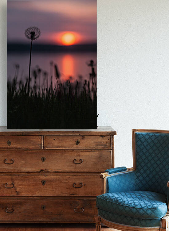 Dandelion Sunset by Good Noise