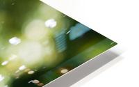 Ruffled HD Metal print