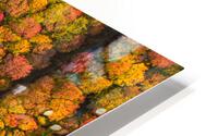 The Fork HD Metal print