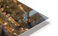 Chi-Cheemaun HD Metal print