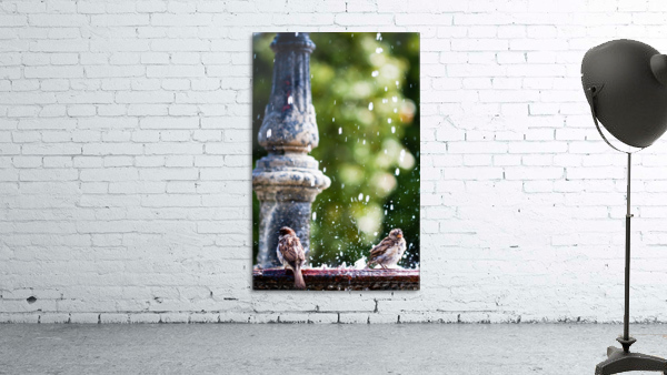 Ruffled Wall Preview