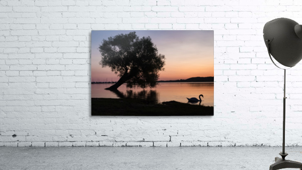 Summerfolk Swan Wall Preview