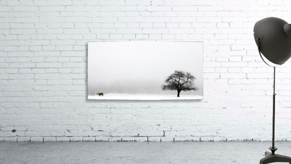Horse and Tree  Wall Preview