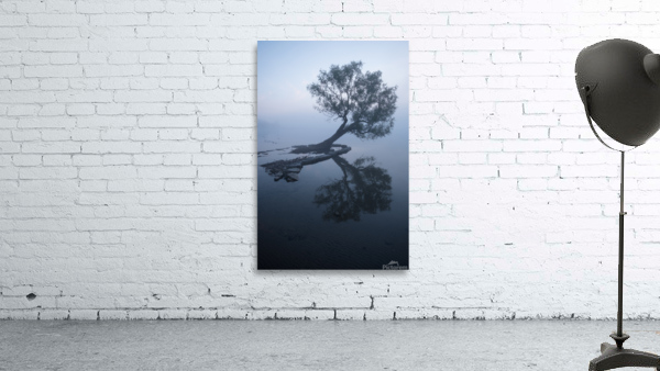 Untitled Wall Preview