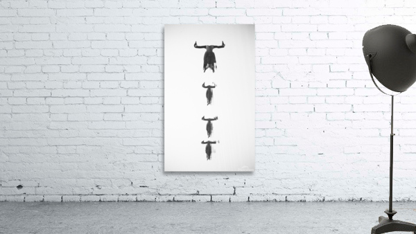 Untitled Wall Preview
