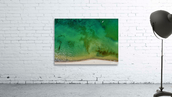 Beachscape Wall Preview