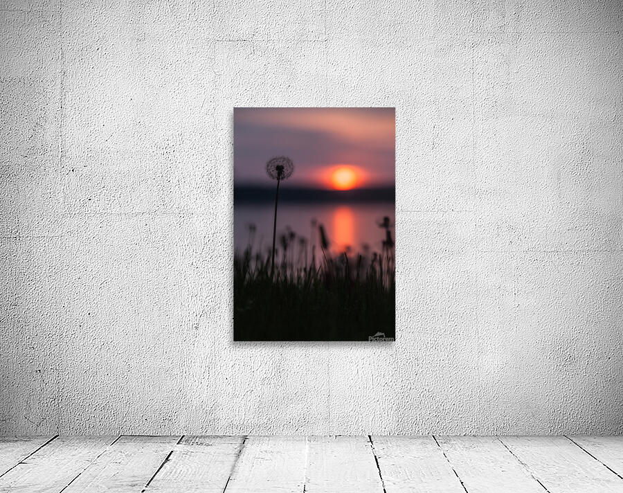 Dandelion Sunset Wall Preview