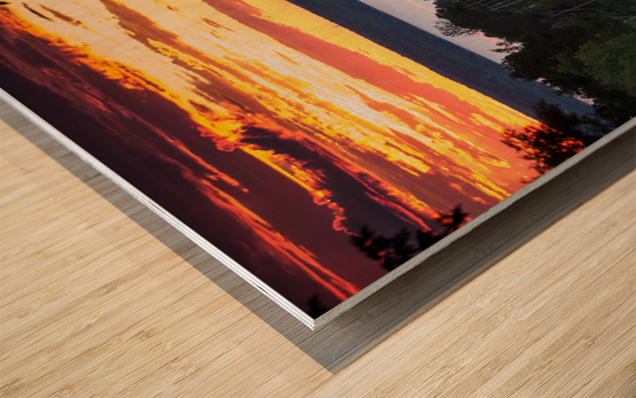 Road to Leith Wood print