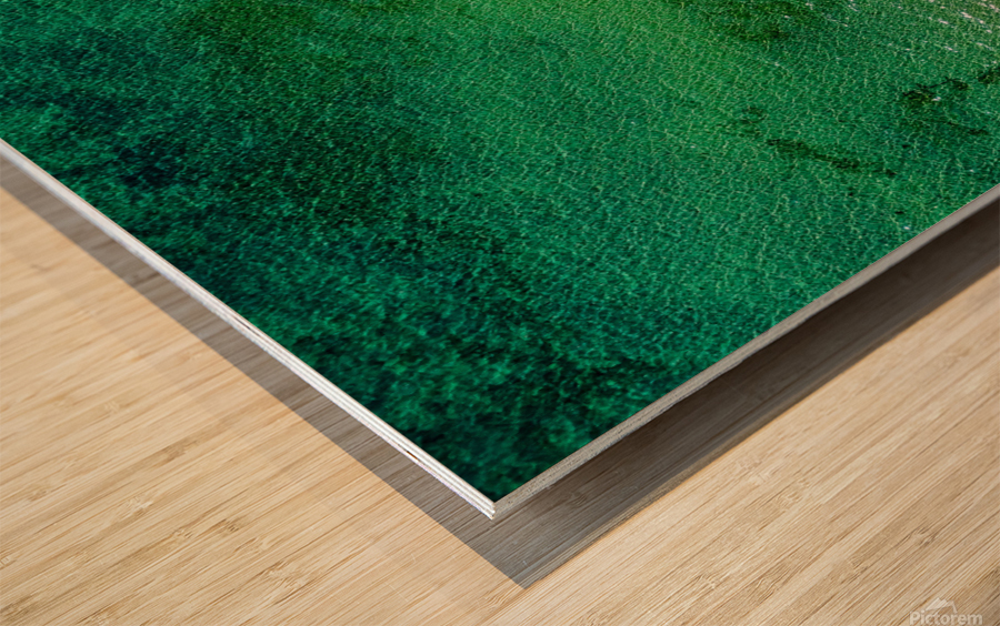 Beachscape Wood print
