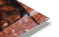 Blanche HD Metal print