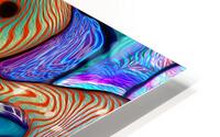 Snake Boogie HD Metal print