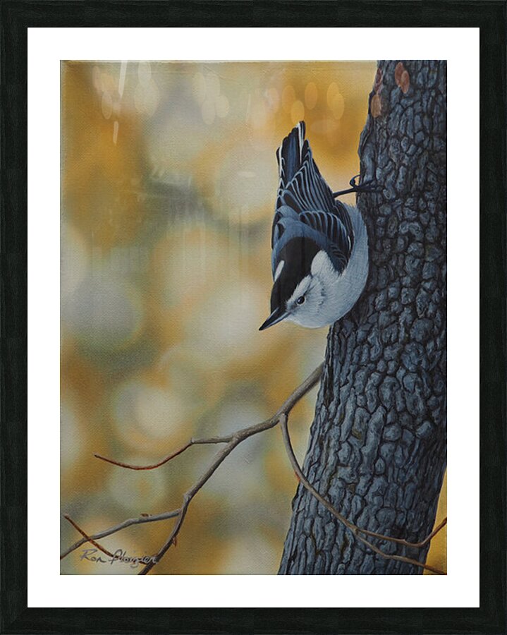 Nuthatchs Niche Picture Frame Printing