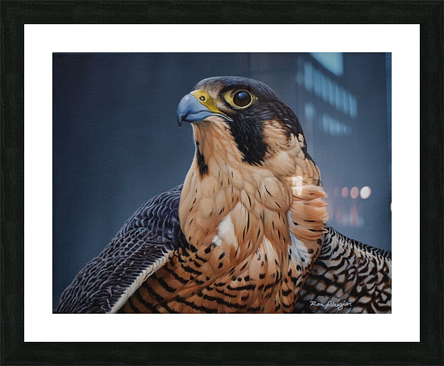 Sentinel Picture Frame Printing