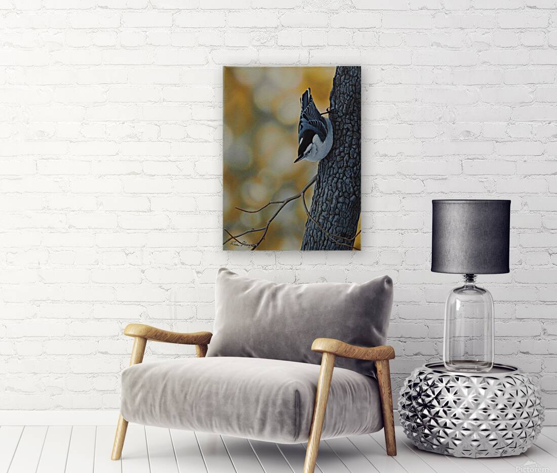 Nuthatchs Niche Reproduction