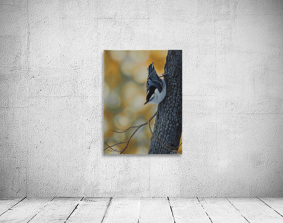 Nuthatchs Niche Wall Preview