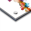 Anaheim California Skyline Acrylic print