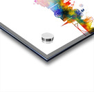 Carson City Nevada Skyline Acrylic print