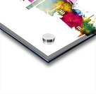 College Station Texas Skyline Acrylic print