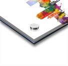 Zaporizhzhia Ukraine Skyline Acrylic print