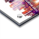 Fort Worth Texas Skyline Acrylic print