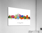 College Station Texas Skyline Acrylic Print