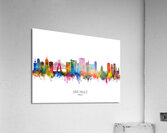 Sao Paulo Brazil Skyline Acrylic Print