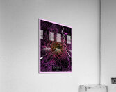 Delhi India Road Map Acrylic Print