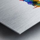 Carson City Nevada Skyline Metal print