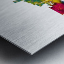 College Station Texas Skyline Metal print