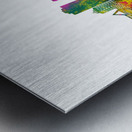 Novosibirsk Russia Skyline Metal print