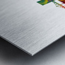 Springfield Missouri Skyline Metal print