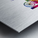 Sochi Russia Skyline Metal print