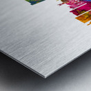 Valladolid Spain Skyline Metal print