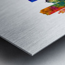 Zaporizhzhia Ukraine Skyline Metal print