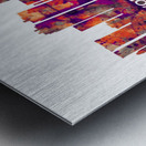 Fort Worth Texas Skyline Metal print