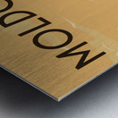 Travel to Moldova  Metal print