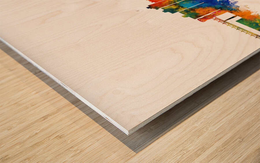 Campo Grande Brazil Skyline Wood print