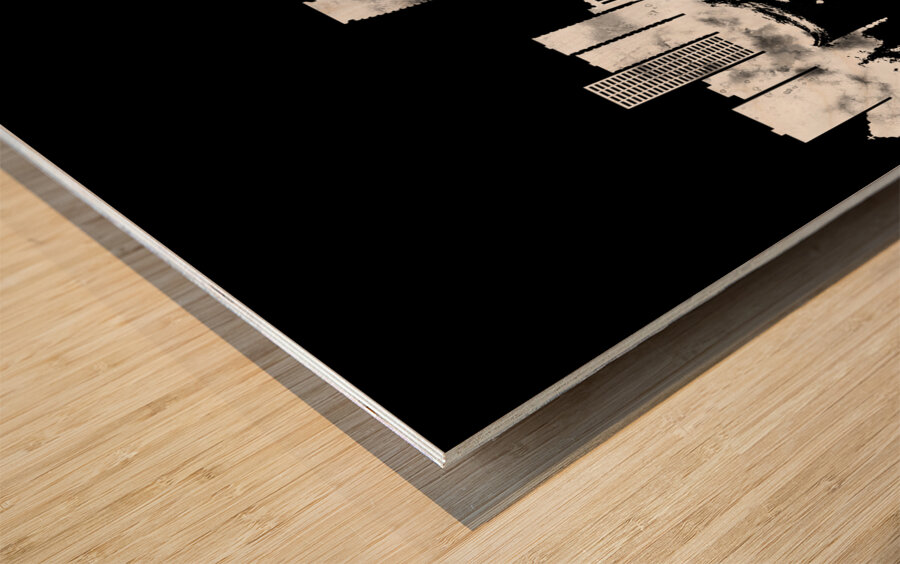 Guayaquil Ecuador BW Wood print